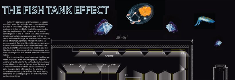 Lighting Competition Winners